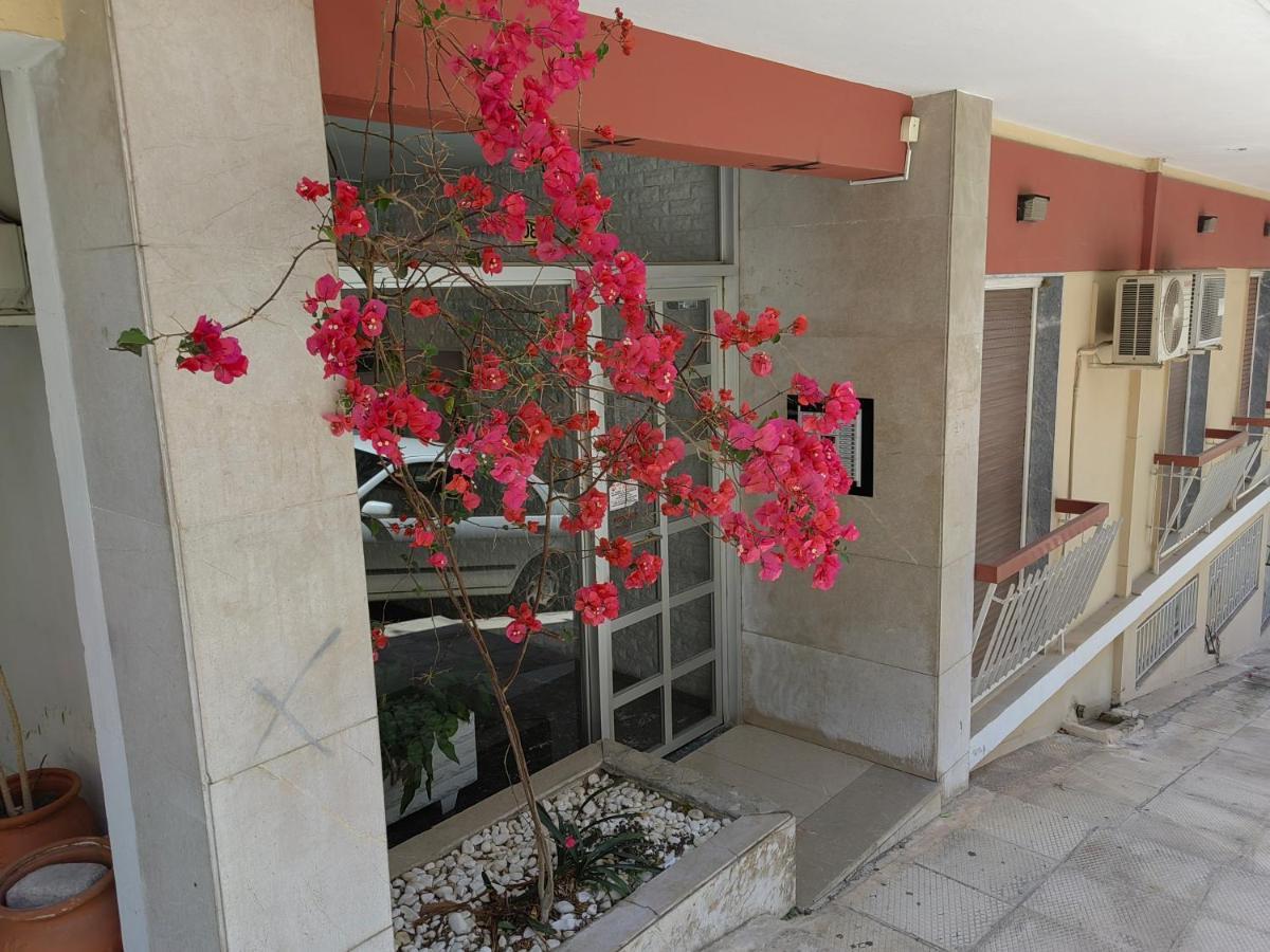 شقة Pagrati Nest أثينا المظهر الخارجي الصورة